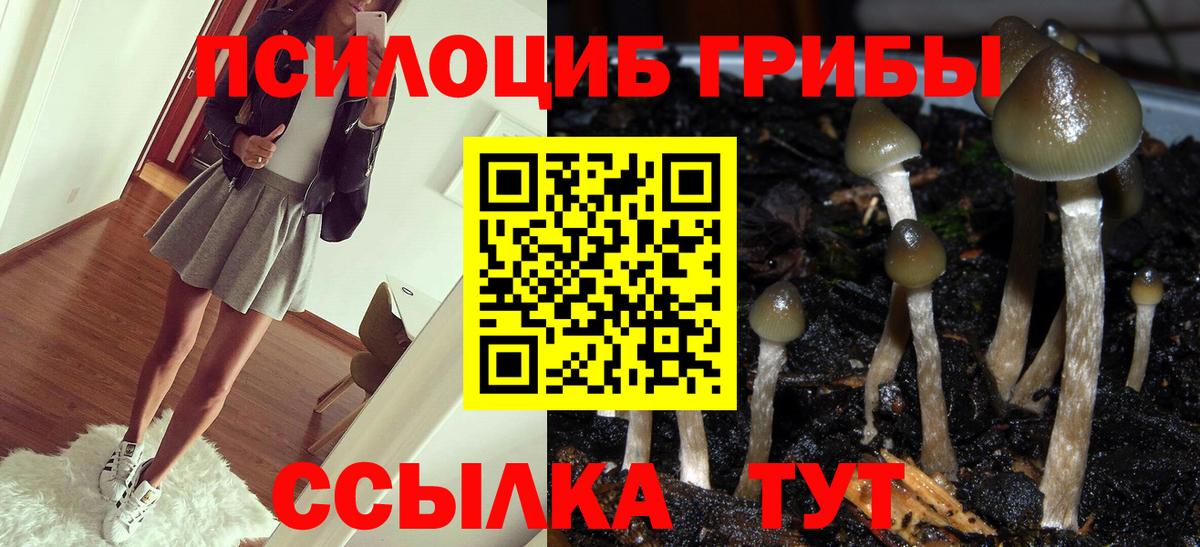 Псилоцибиновые грибы Cubensis  Вход с VPN  Заволжье 