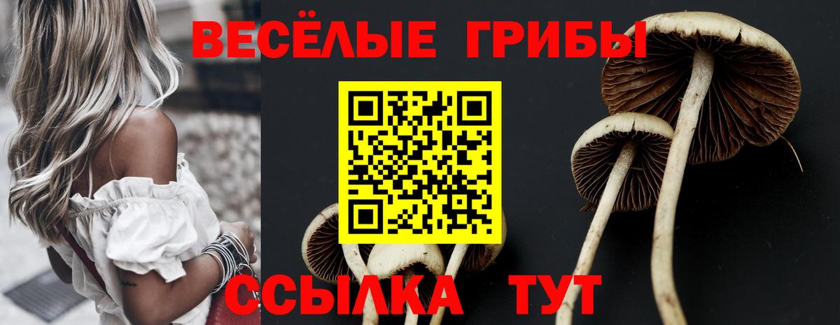 Галлюциногенные грибы GOLDEN TEACHER Заволжье