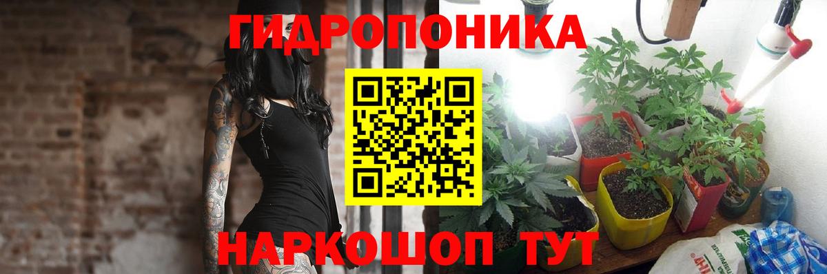 Канабис SATIVA & INDICA  Вход с VPN  Заволжье  Каннабис Ganja  Марихуана Amnesia 